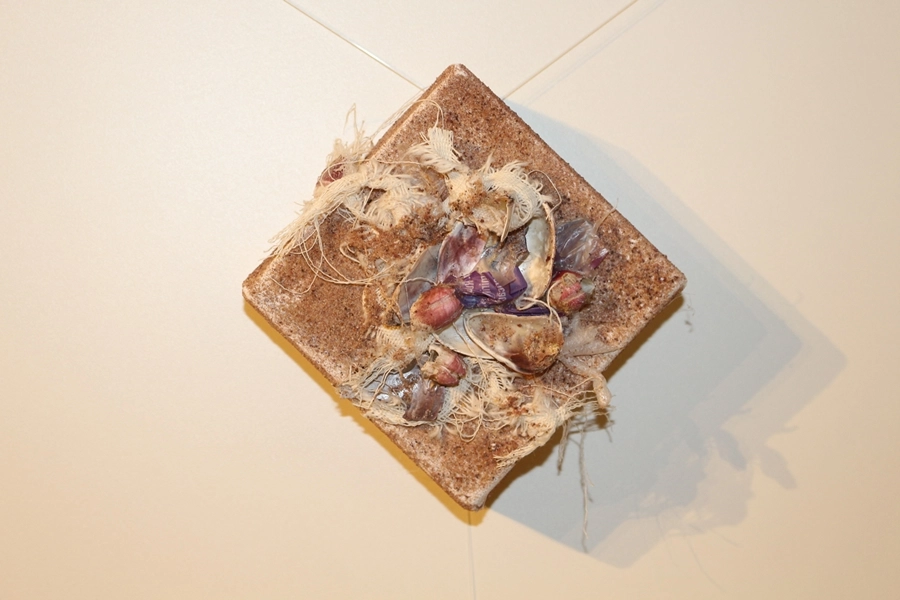 Exposição Oceano – Origem e Presságio – 23, 24, 30 e 31/05/2026