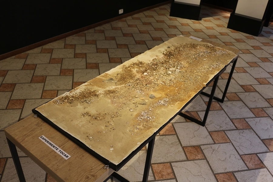 Exposição Oceano – Origem e Presságio – 23, 24, 30 e 31/05/2026