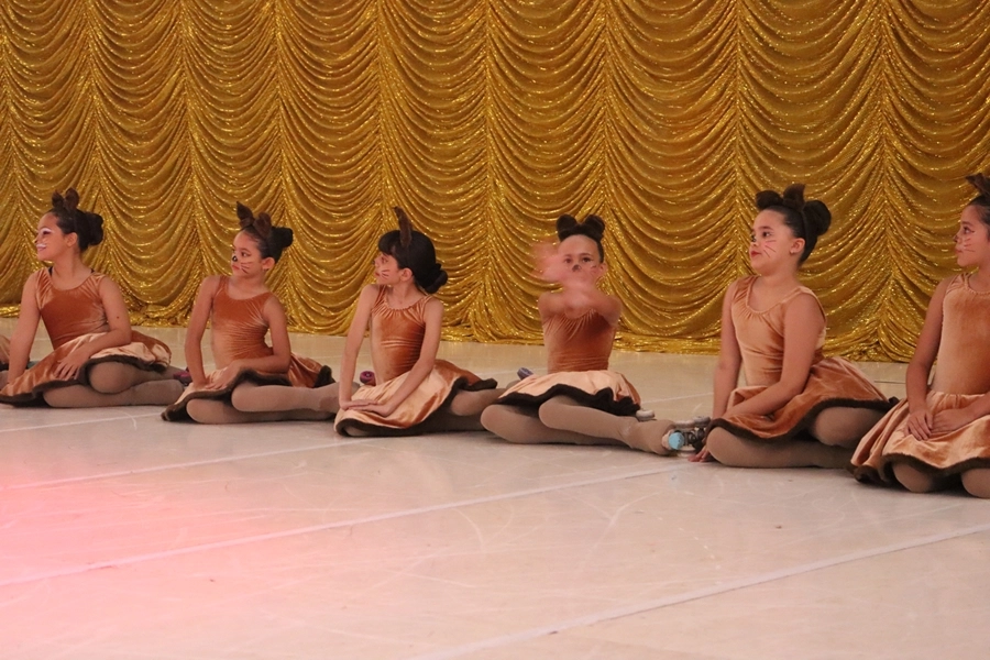 Apresentação de Fim de Ano da Patinação Artística 2025 – 14/12/2025