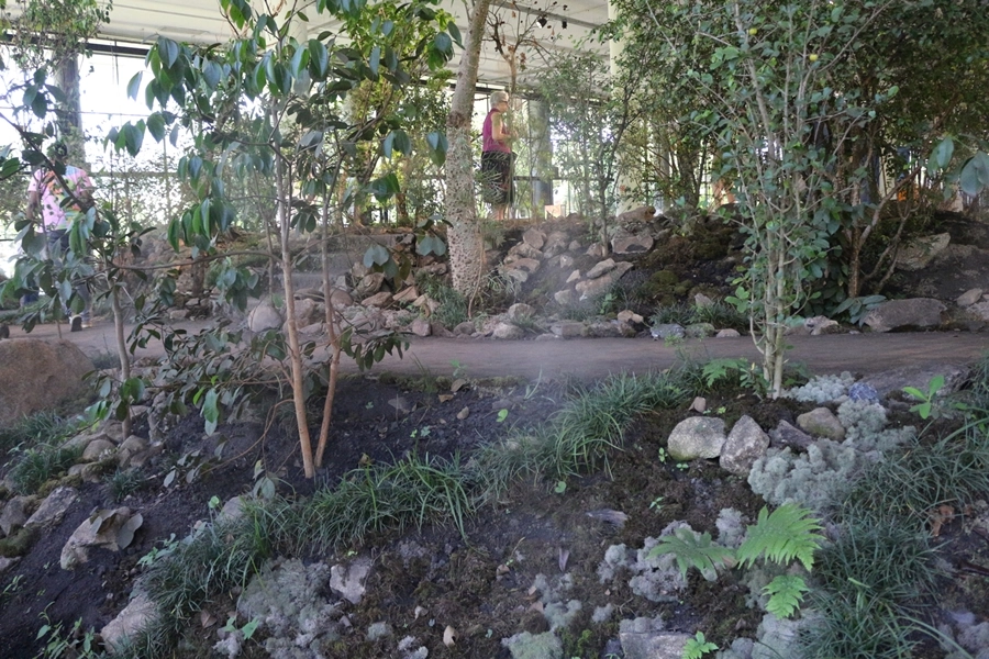 Roteiro Cultural – 36ª Bienal de São Paulo – 12/11/2025