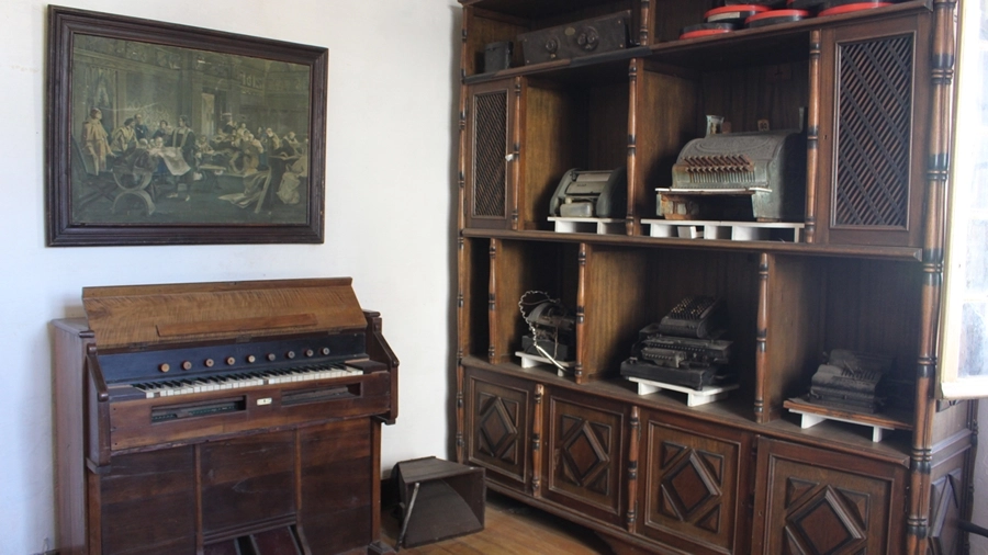 Roteiro Cultural – 36ª Bienal de São Paulo – 12/11/2025