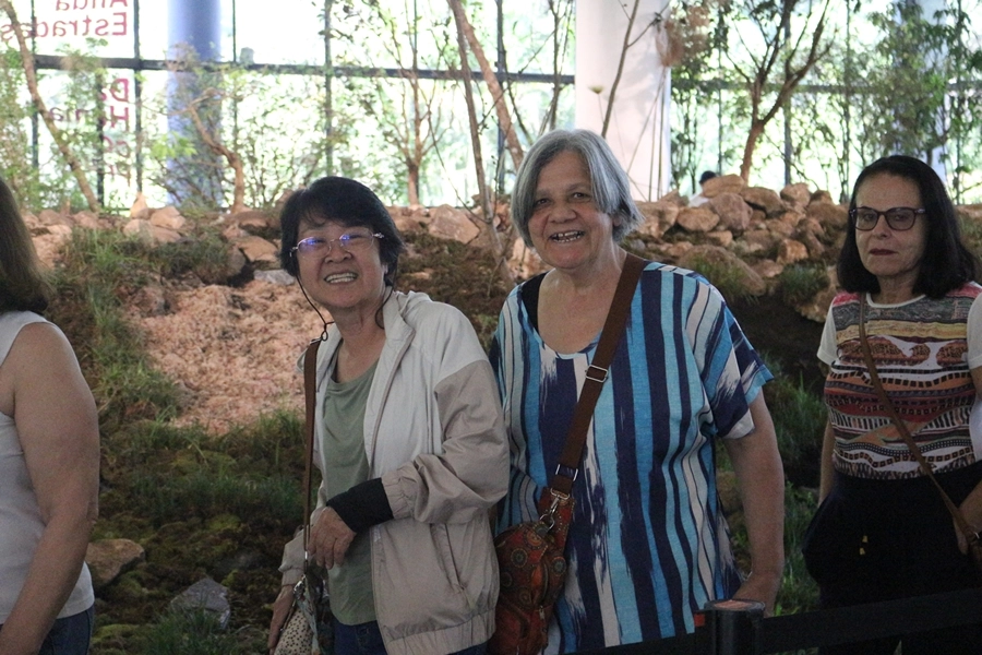 Roteiro Cultural – 36ª Bienal de São Paulo – 12/11/2025