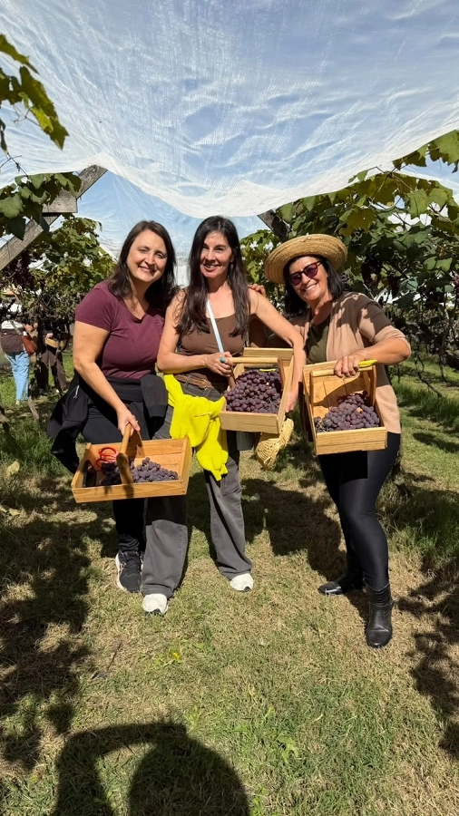 Circuito Turístico Rural – Colhendo os Sabores da Terra (Traviú/Jundiaí e Louveira) – 17/07/2026