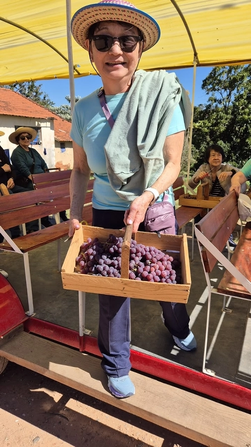 Circuito Turístico Rural – Colhendo os Sabores da Terra (Traviú/Jundiaí e Louveira) – 17/07/2026