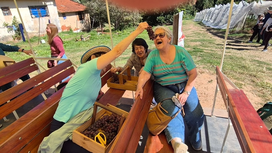 Circuito Turístico Rural – Colhendo os Sabores da Terra (Traviú/Jundiaí e Louveira) – 17/07/2026