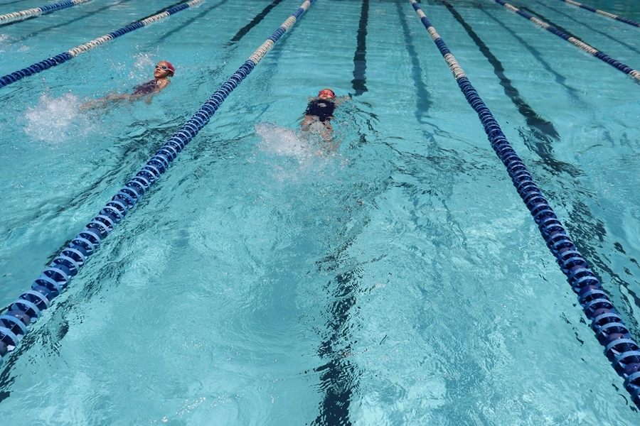 Festival de Natação – Primavera 2025 – 30/11/2025