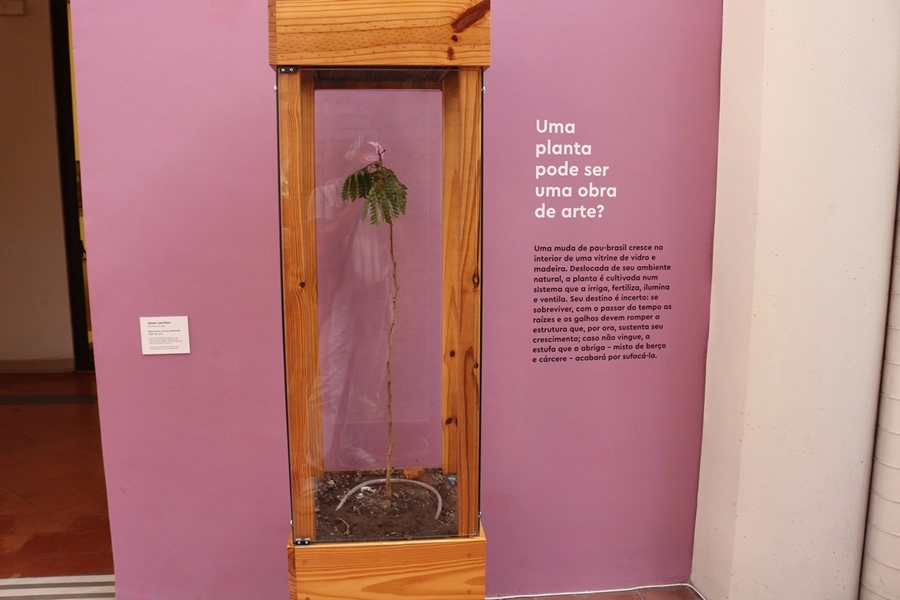 Passeio Cultural Pinacoteca – 20/06/2025