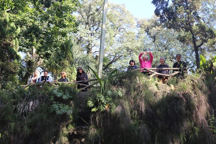 Passeio Cultural Pinacoteca – 20/06/2025