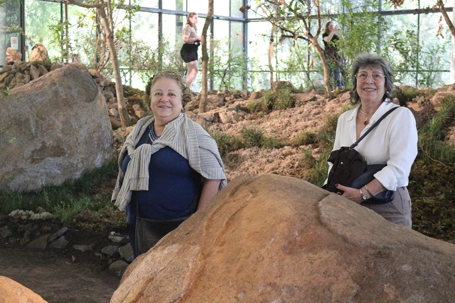 Roteiro Cultural – 36ª Bienal de São Paulo – 12/11/2025