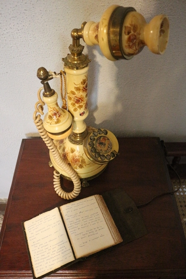 Roteiro Cultural – 36ª Bienal de São Paulo – 12/11/2025