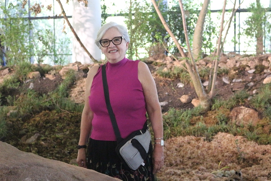 Roteiro Cultural – 36ª Bienal de São Paulo – 12/11/2025