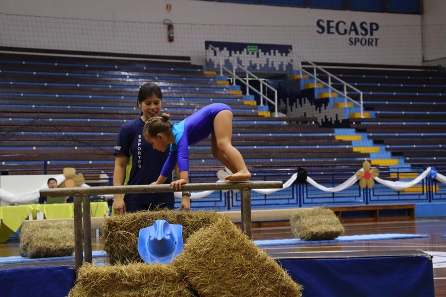 Festival de Ginástica Artística – 24/10/2026