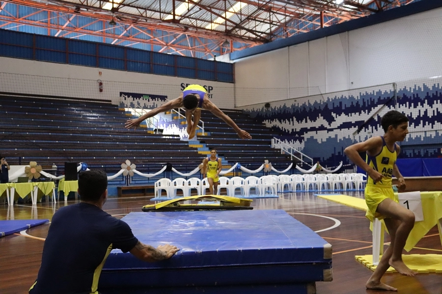 Festival de Ginástica Artística – 24/10/2026