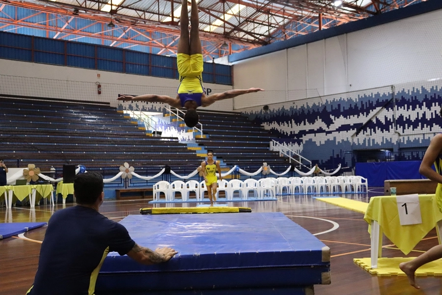 Festival de Ginástica Artística – 24/10/2026