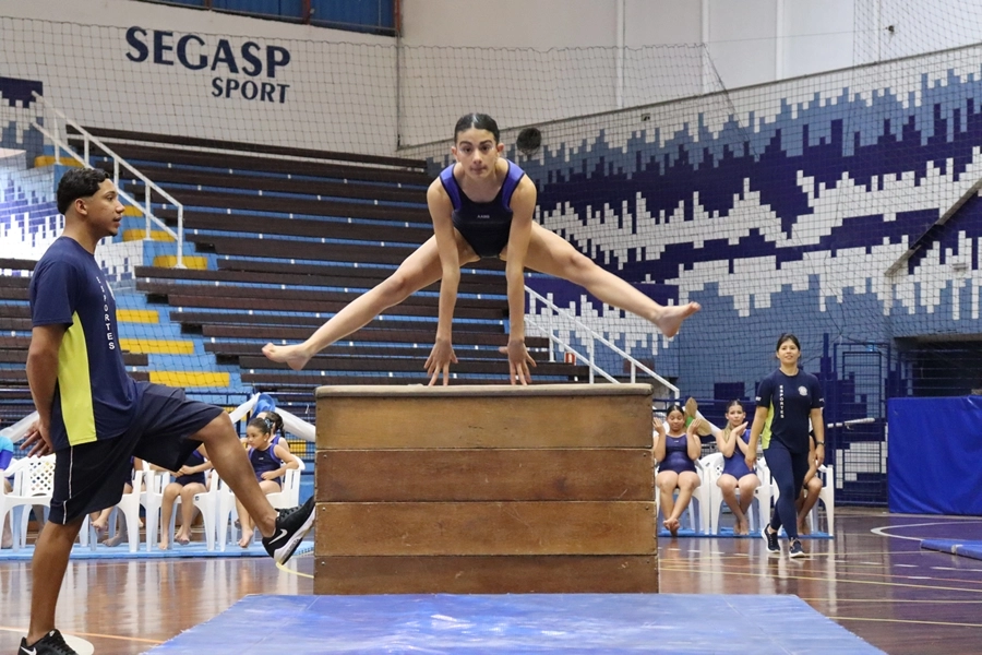 Festival de Ginástica Artística – 24/10/2026